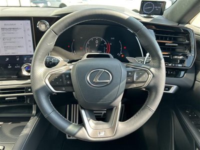 2024 Lexus RX thumbnail 26