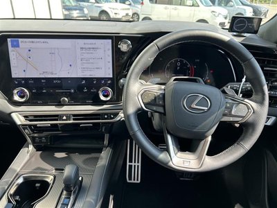 2024 Lexus RX thumbnail 25