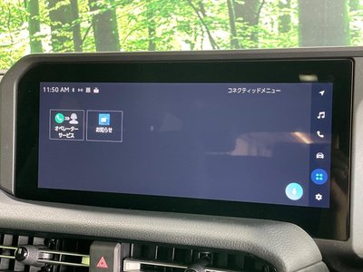 2024 Toyota LAND CRUISER 250 缩略图 35
