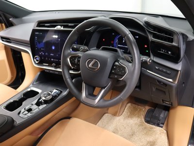 2023 Lexus RZ — фото 14