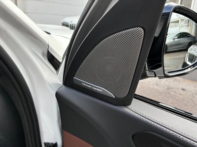 2026 BMW X5 thumbnail 33