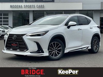 2023 Lexus NX 照片 1