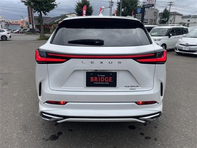 2023 Lexus NX 照片 6