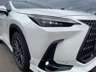 2023 Lexus NX 照片 10