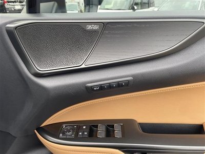 2023 Lexus NX 照片 34
