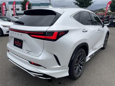 2023 Lexus NX 照片 7