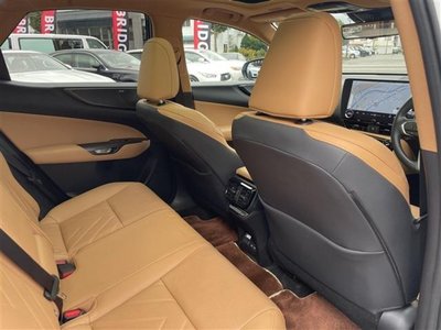 2023 Lexus NX 照片 13