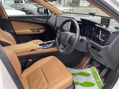 2023 Lexus NX 照片 11