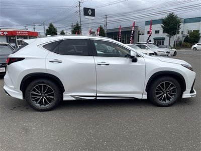 2023 Lexus NX 照片 8