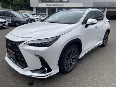 2023 Lexus NX 照片 3