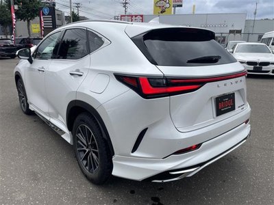 2023 Lexus NX 照片 5
