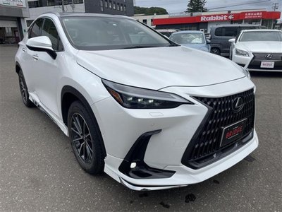 2023 Lexus NX 照片 9