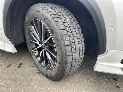 2023 Lexus NX 照片 42