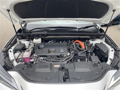 2023 Lexus NX 照片 45