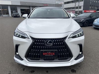 2023 Lexus NX 照片 2