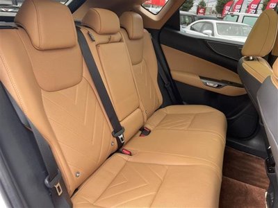 2023 Lexus NX 照片 14