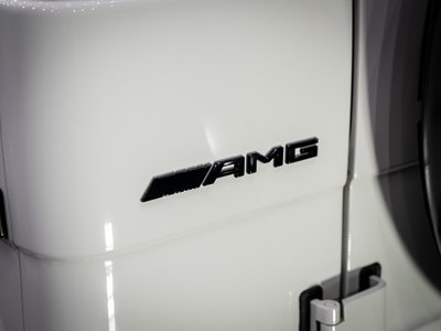 2009 Mercedes-BENZ G-CLASS AMG — фото 78