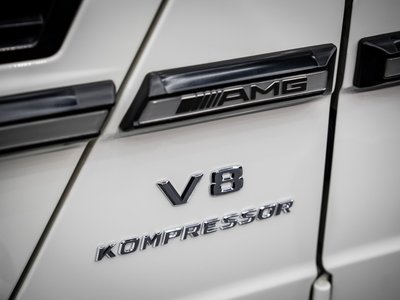 2009 Mercedes-BENZ G-CLASS AMG — фото 79