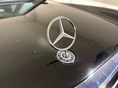 1998 Mercedes-BENZ E-CLASS AMG 照片 57