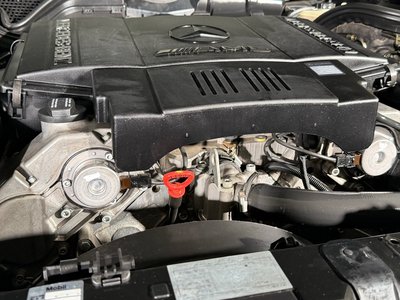 1998 Mercedes-BENZ E-CLASS AMG 照片 59