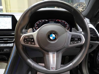 2020 BMW 8 SERIES thumbnail 18