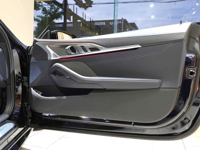2020 BMW 8 SERIES thumbnail 19