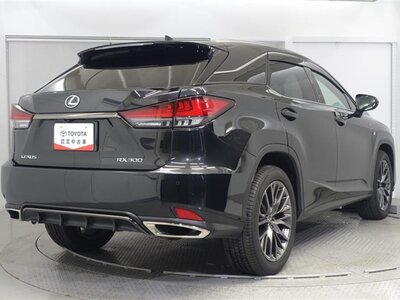 2020 Lexus RX 照片 3