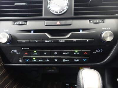 2020 Lexus RX 照片 18