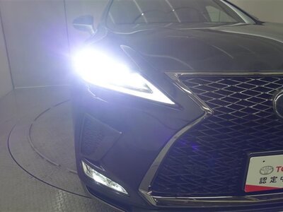 2020 Lexus RX 照片 22