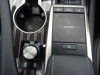 2020 Lexus RX 照片 32
