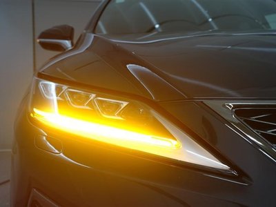 2020 Lexus RX 照片 23