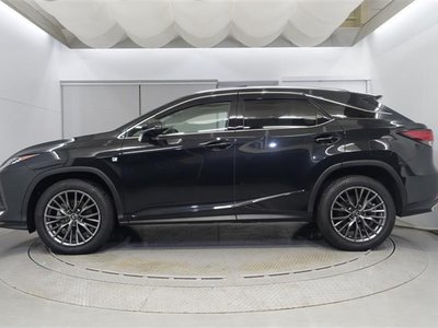 2020 Lexus RX 照片 2