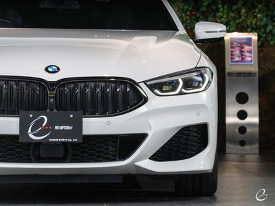 2020 BMW 8 SERIES GRAN COUPE — фото 127