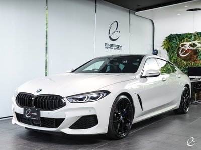 2020 BMW 8 SERIES GRAN COUPE — фото 135