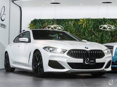 2020 BMW 8 SERIES GRAN COUPE — фото 41