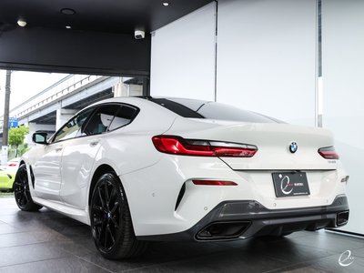 2020 BMW 8 SERIES GRAN COUPE — фото 151