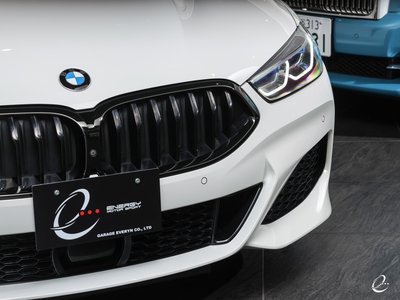 2020 BMW 8 SERIES GRAN COUPE — фото 119