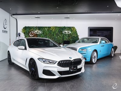 2020 BMW 8 SERIES GRAN COUPE — фото 44