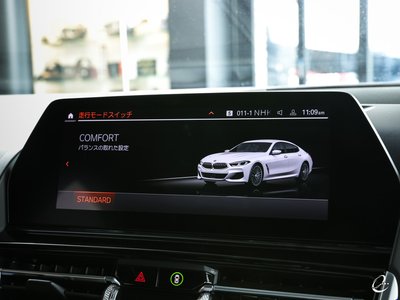 2020 BMW 8 SERIES GRAN COUPE — фото 91