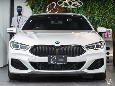 2020 BMW 8 SERIES GRAN COUPE — фото 42