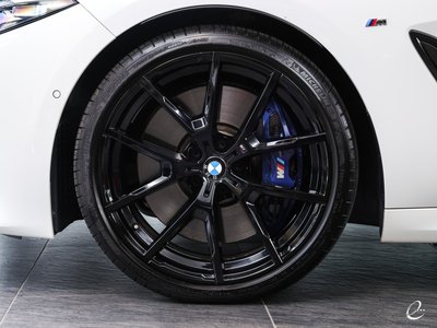 2020 BMW 8 SERIES GRAN COUPE — фото 145