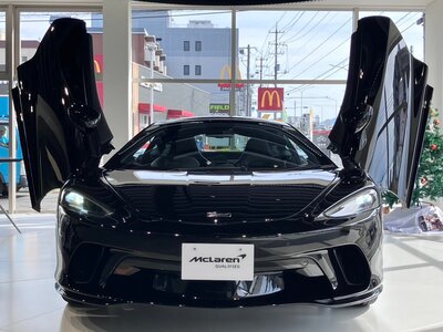 2023 Mclaren GT — фото 11