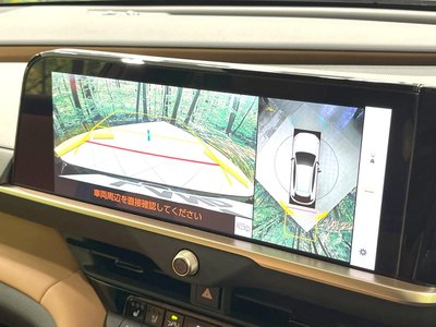 2024 Toyota CROWN SPORT photo 6