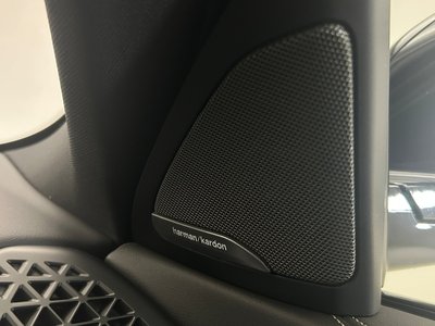 2025 BMW X6 thumbnail 33