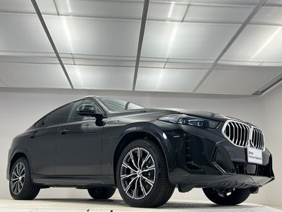 2025 BMW X6 thumbnail 19