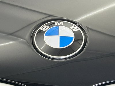 2025 BMW X6 thumbnail 21