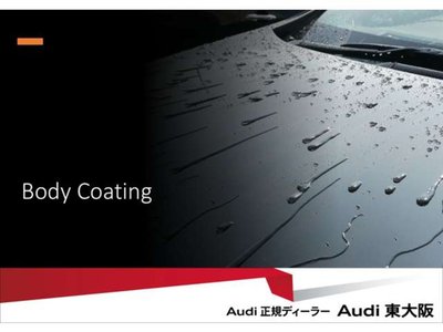 صورة مصغرة 68 لـ 2025 AUDI SQ5