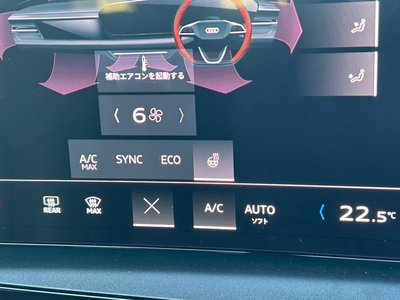 2025 AUDI Q6 E-TRON 照片 30