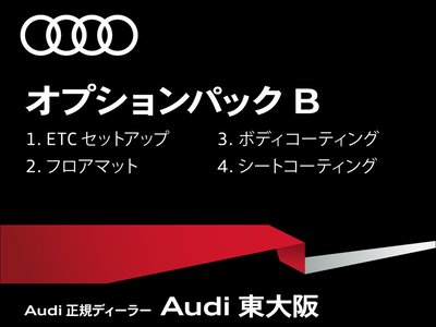 2025 AUDI Q6 E-TRON 照片 78