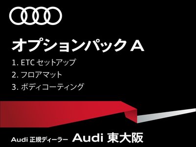 2025 AUDI Q6 E-TRON 照片 77